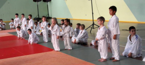 Des dmonstrations de judo  tous les niveaux