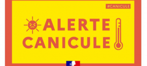Alerte canicule