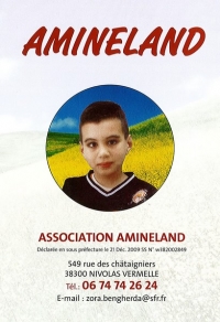 AMINELAND