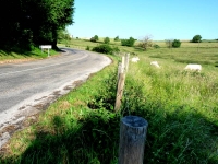 		La lgende du chemin Pillot, une rvolte des femmes.