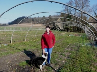 Des lgumes du potager en vente directe !